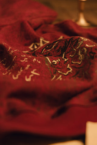 "Aankhon Ke Kahani" / آنکھوں کی کہانی "The Story Within the Eyes" Maroon Hoodie